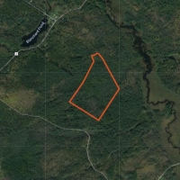 57 acre Cabin Site Bordering State Forest Diana NY images 5