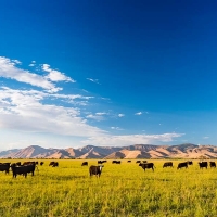 The Ranch at Silver Spring images 3