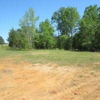 39.17 Acres in Alcorn County in Rienzi MS images 2