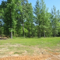 39.17 Acres in Alcorn County in Rienzi MS images 3