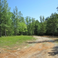 39.17 Acres in Alcorn County in Rienzi MS images 4