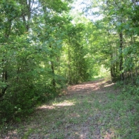 39.17 Acres in Alcorn County in Rienzi MS images 5
