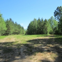 39.17 Acres in Alcorn County in Rienzi MS images 6
