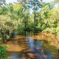 Bowen Mill images 5