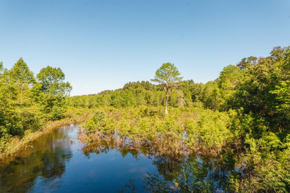 Bowen Mill featured image