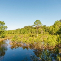 Bowen Mill images 1