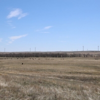 Park Ranch