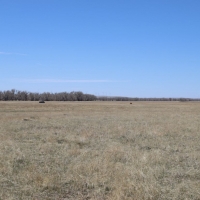 Park Ranch images 2