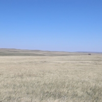 Park Ranch images 3