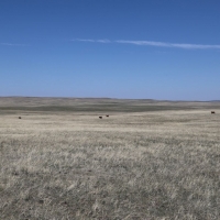 Park Ranch images 4
