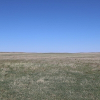 Park Ranch images 6
