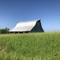 Country Home on Farm Land For Sale images 4