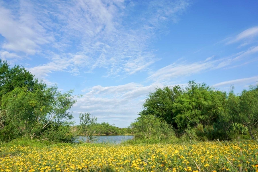 Mi Cancion Ranch featured image