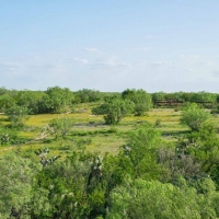 Mi Cancion Ranch images 2