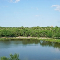 Mi Cancion Ranch images 4
