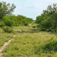 Mi Cancion Ranch images 5