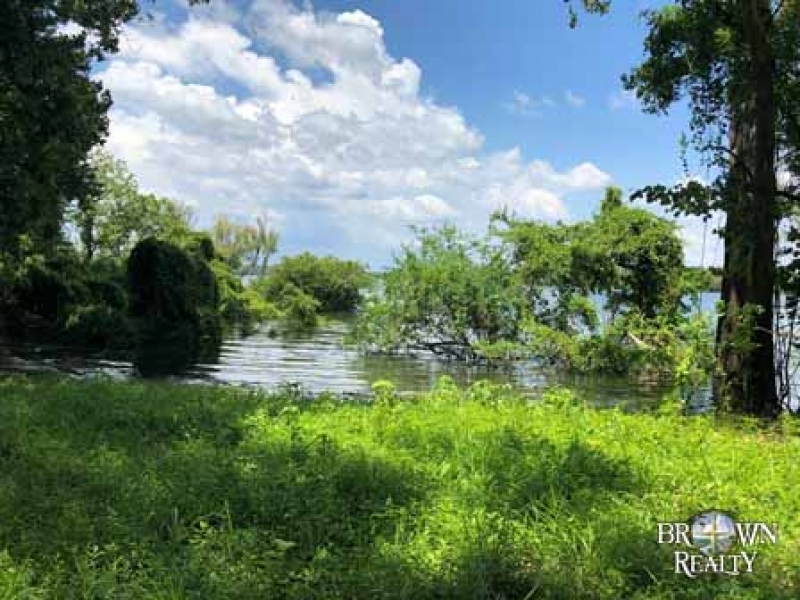 LA - Tensas White Oak Land Corp 202 acre - Share featured image