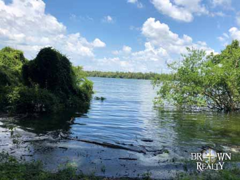 LA Tensas White Oak Land Corp 202 acre Share Hunting Land for