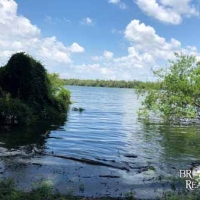 LA - Tensas White Oak Land Corp 202 acre - Share images 2