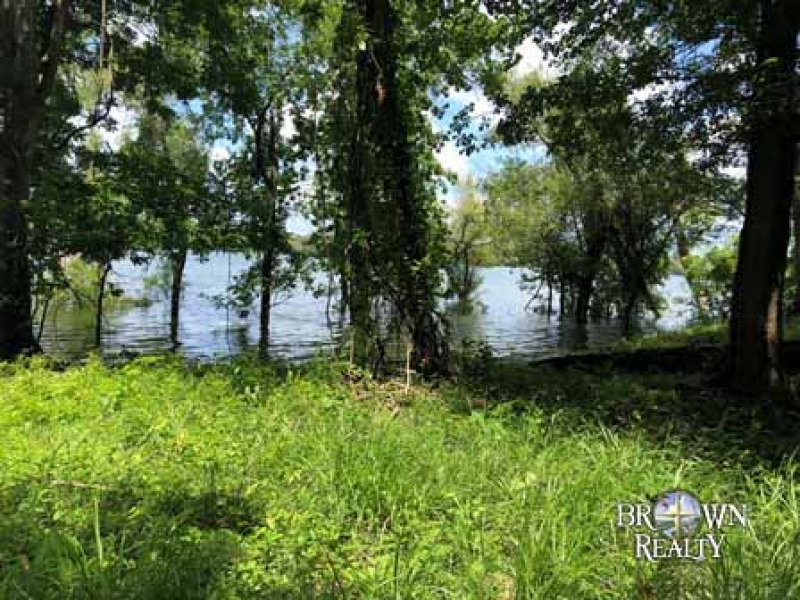LA Tensas White Oak Land Corp 202 acre Share Hunting Land for
