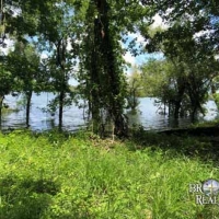 LA - Tensas White Oak Land Corp 202 acre - Share images 3