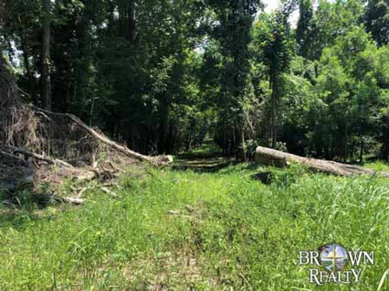 LA Tensas White Oak Land Corp 202 acre Share Hunting Land for