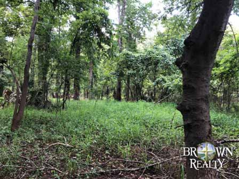 LA Tensas White Oak Land Corp 202 acre Share Hunting Land for