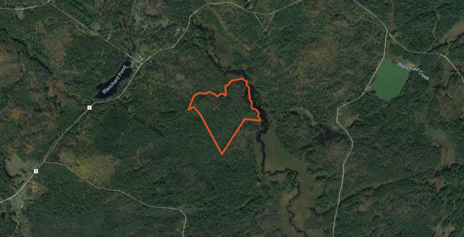 50 Acre Waterfront Bordering State Forest Diana NY Hunting Land for