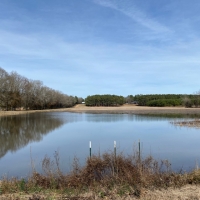 1255 Acres in Montgomery County at Walker Farms in Kilmichael Ms images 2