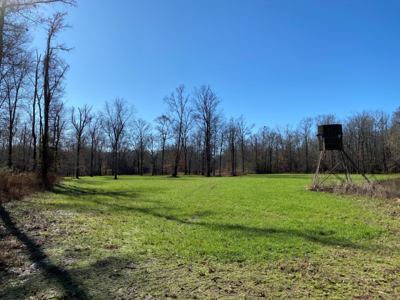 1255 Acres in Montgomery County at Walker Farms in Kilmichael Ms