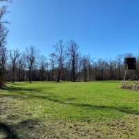 1255 Acres in Montgomery County at Walker Farms in Kilmichael Ms images 3