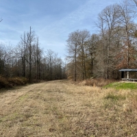 1255 Acres in Montgomery County at Walker Farms in Kilmichael Ms images 5