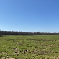 1255 Acres in Montgomery County at Walker Farms in Kilmichael Ms images 6