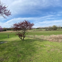 CATTLE RANCH HOME IN MELBOURNE AR images 5