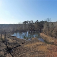 CATTLE RANCH HOME IN MELBOURNE AR images 4