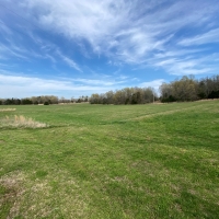 CATTLE RANCH HOME IN MELBOURNE AR images 6