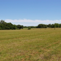 82.8 Acre Parcel with Hay Timber and Home images 2