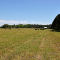 82.8 Acre Parcel with Hay Timber and Home images 3
