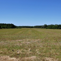82.8 Acre Parcel with Hay Timber and Home images 4