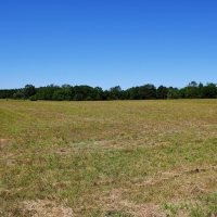 82.8 Acre Parcel with Hay Timber and Home images 5