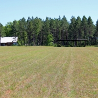 82.8 Acre Parcel with Hay Timber and Home images 6