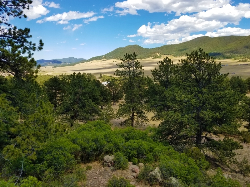 Cross D Bar Ranch featured image
