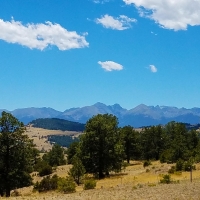 Cross D Bar Ranch images 2