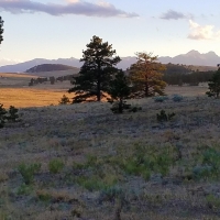 Cross D Bar Ranch images 3