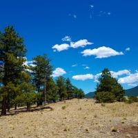 Cross D Bar Ranch images 5