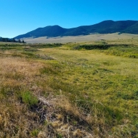 Cross D Bar Ranch images 6