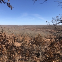 McGill Hunting Property