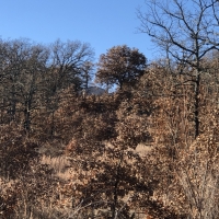 McGill Hunting Property images 5