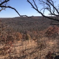McGill Hunting Property images 6