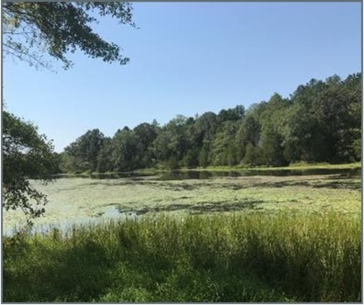 311 Acres in Chickasaw County in Houlka MS Hunting Land for Sale
